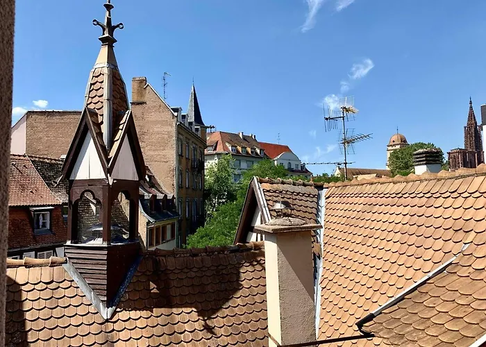 Les Appartements Du Renard